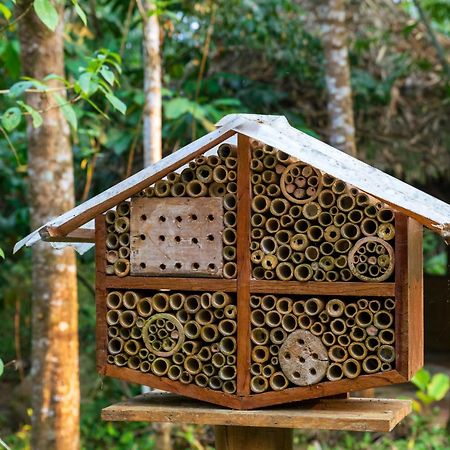 Bosque Guardian Lodge Tarapoto Ngoại thất bức ảnh