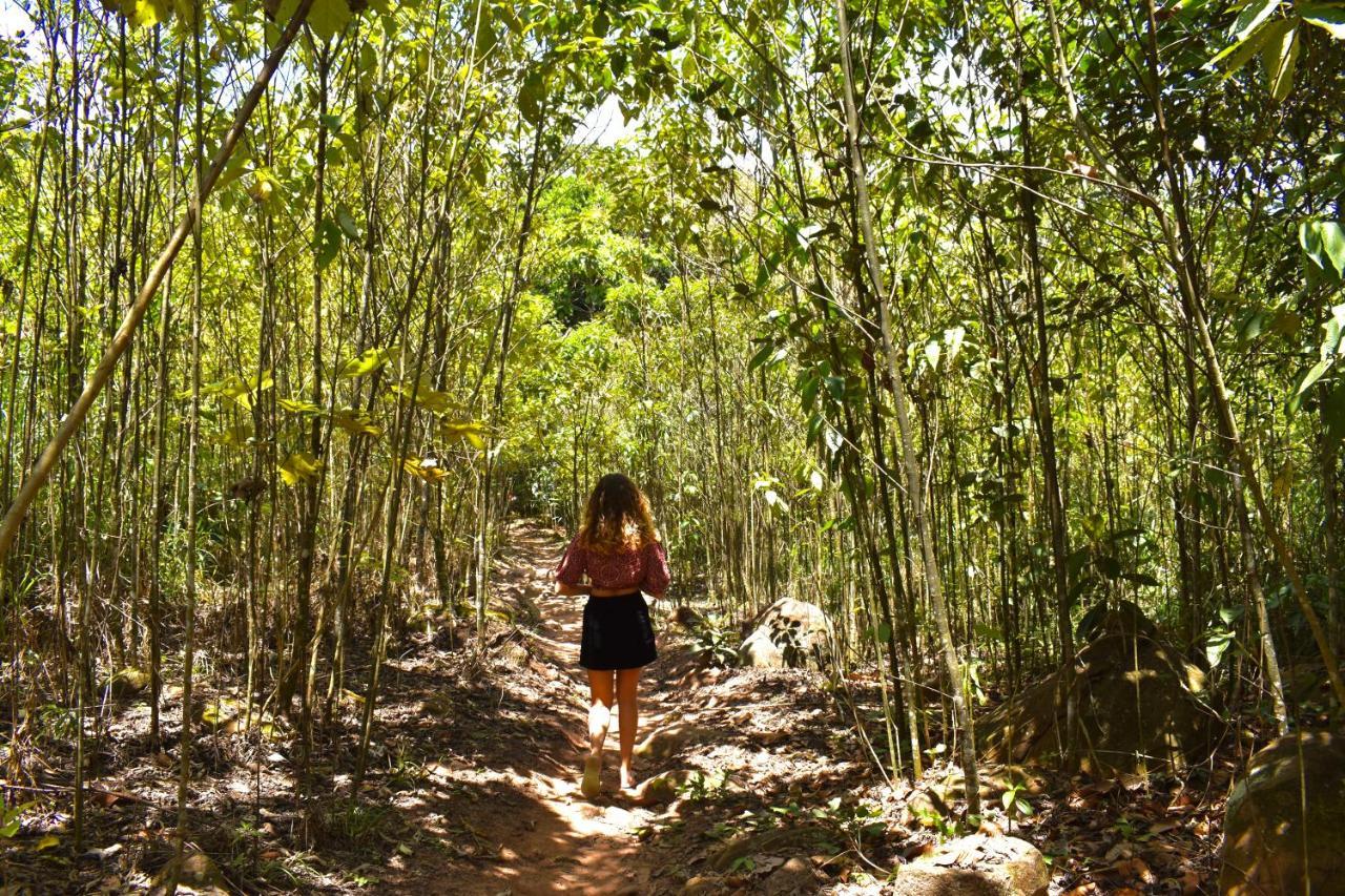 Bosque Guardian Lodge Tarapoto Ngoại thất bức ảnh