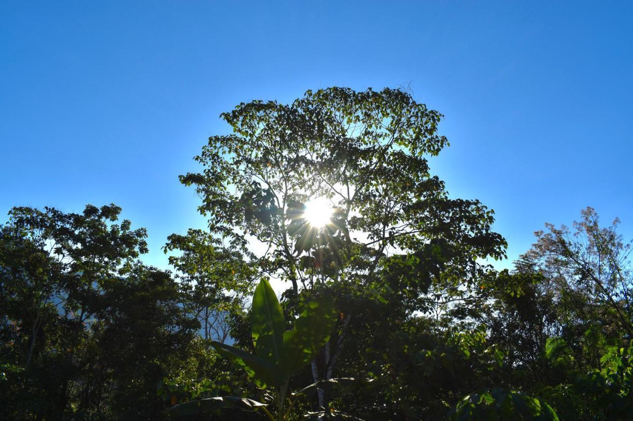 Bosque Guardian Lodge Tarapoto Ngoại thất bức ảnh