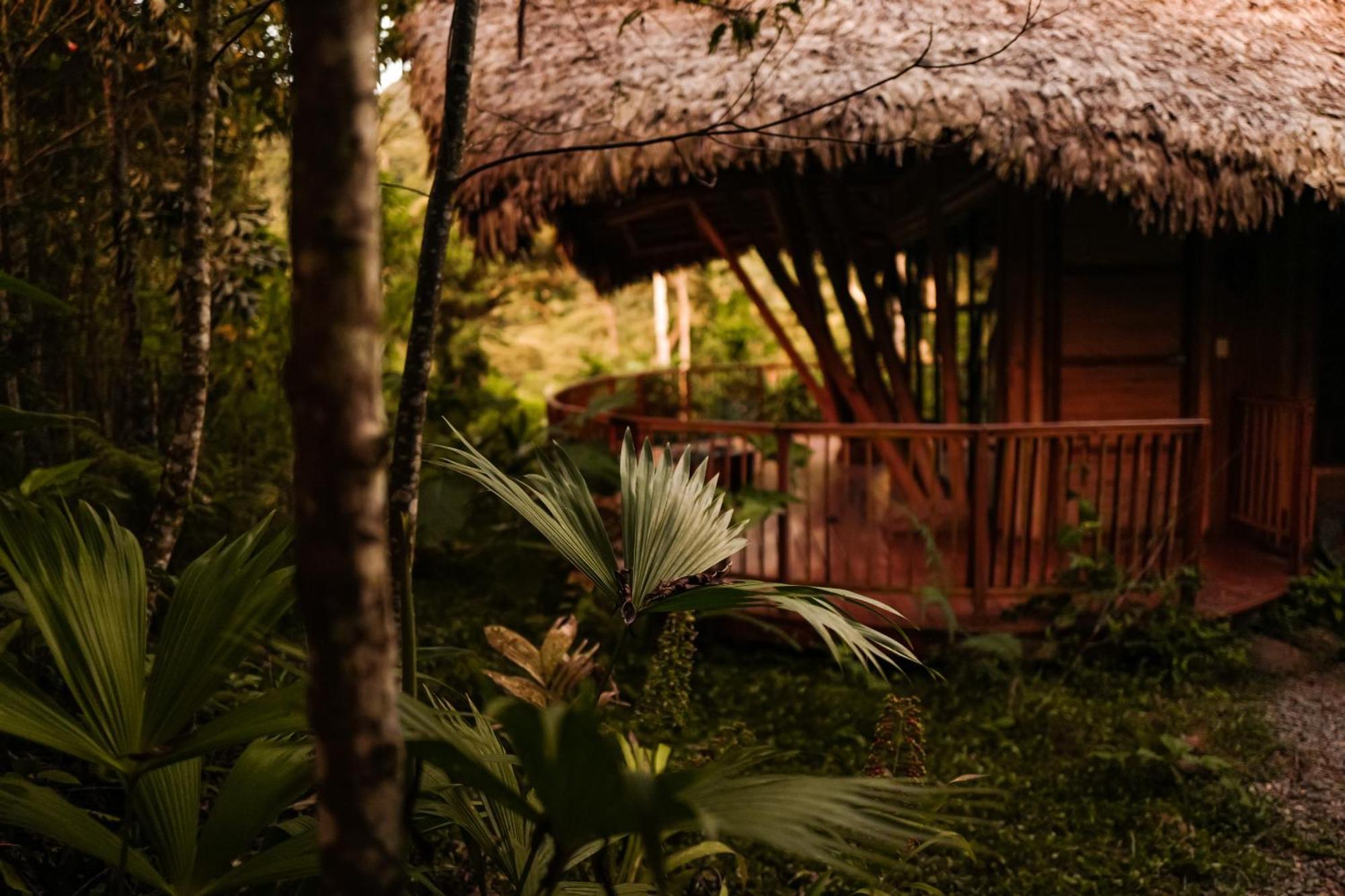 Bosque Guardian Lodge Tarapoto Ngoại thất bức ảnh