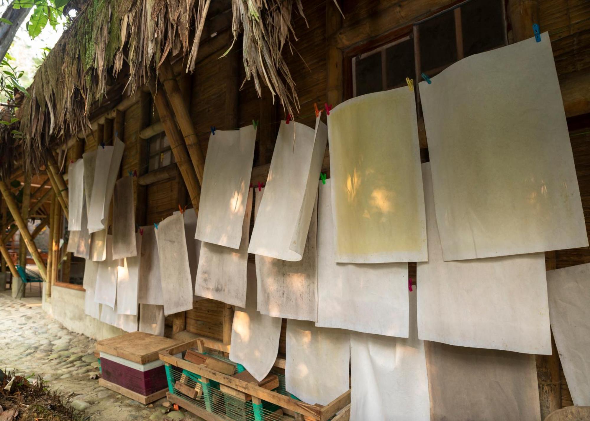Bosque Guardian Lodge Tarapoto Ngoại thất bức ảnh