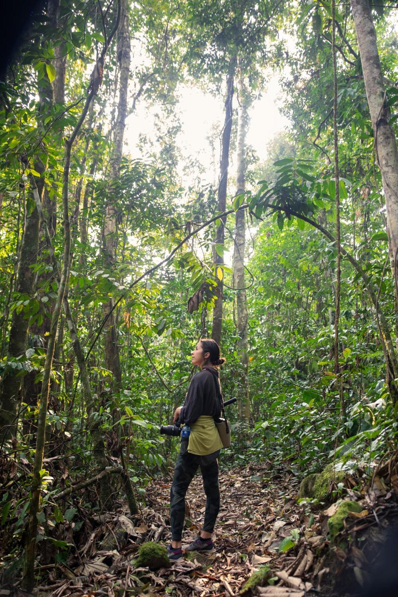 Bosque Guardian Lodge Tarapoto Ngoại thất bức ảnh