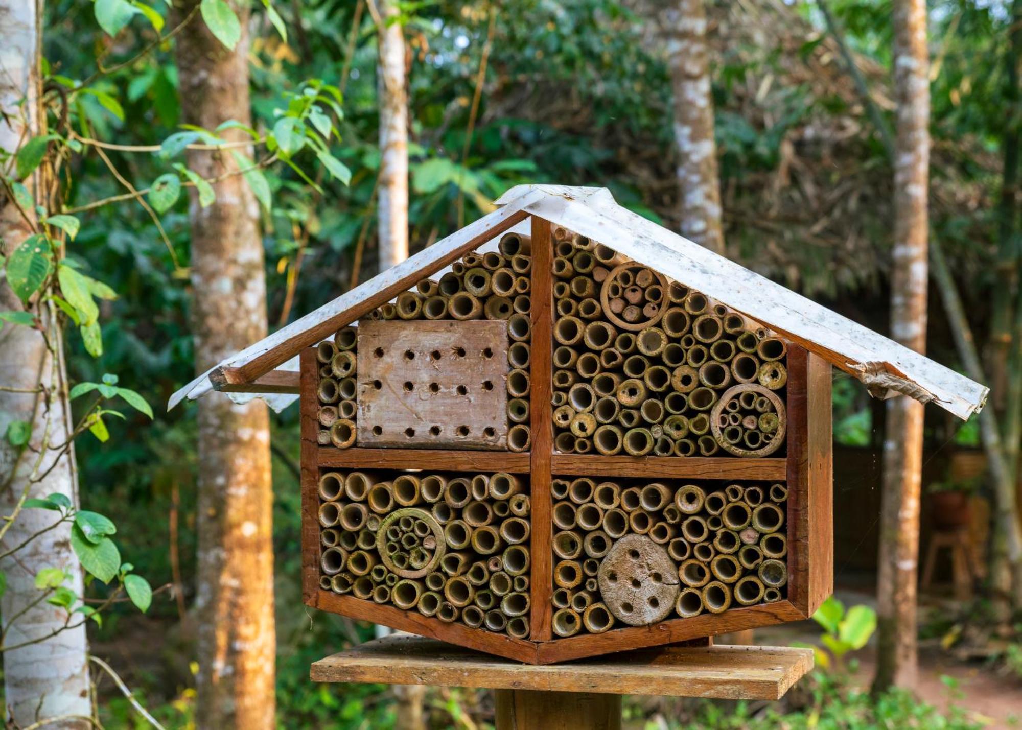 Bosque Guardian Lodge Tarapoto Ngoại thất bức ảnh