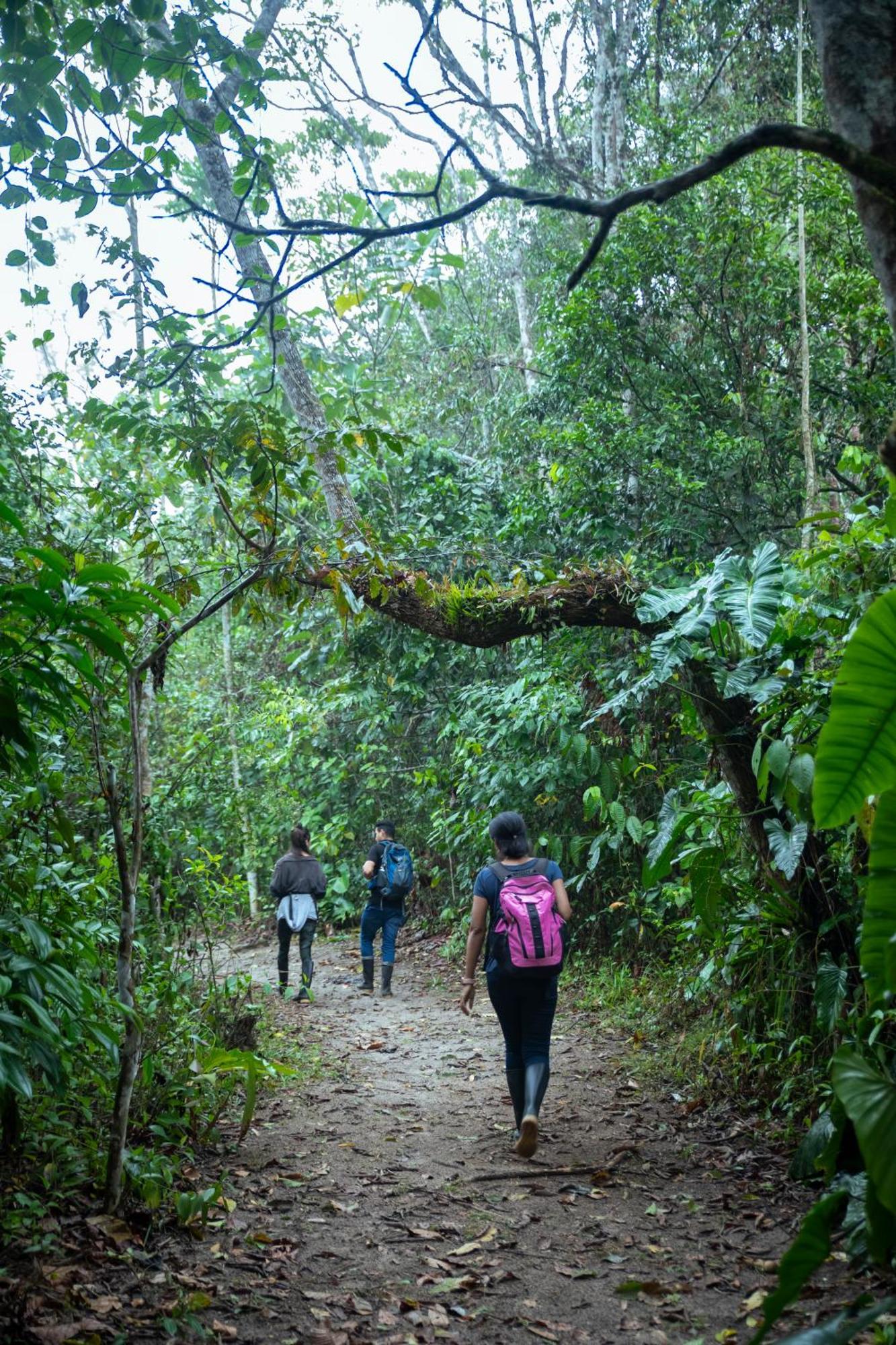 Bosque Guardian Lodge Tarapoto Ngoại thất bức ảnh