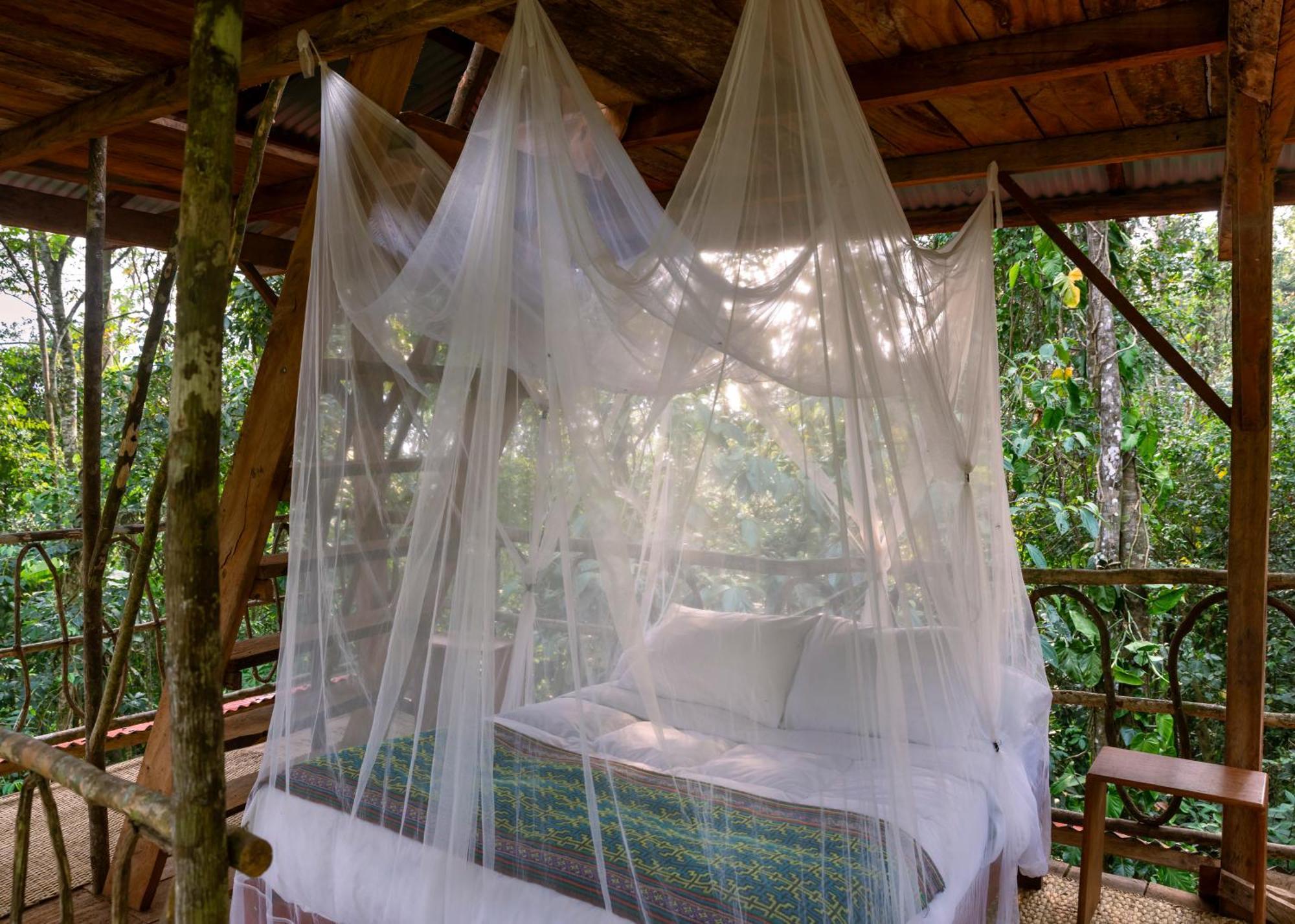 Bosque Guardian Lodge Tarapoto Ngoại thất bức ảnh