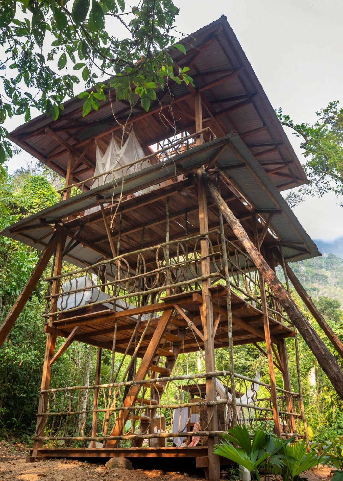 Bosque Guardian Lodge Tarapoto Ngoại thất bức ảnh