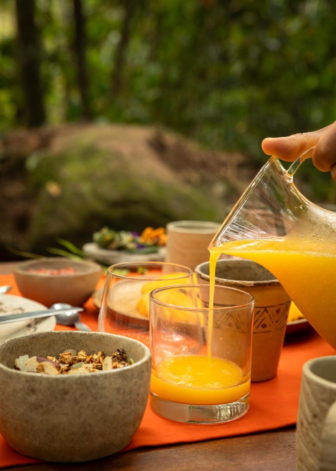 Bosque Guardian Lodge Tarapoto Ngoại thất bức ảnh
