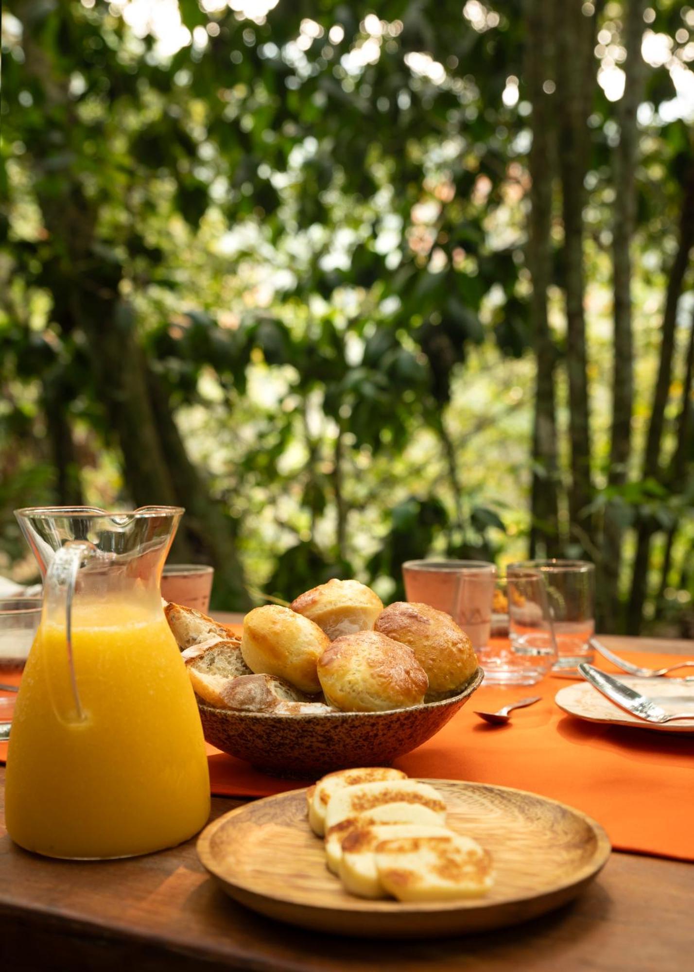 Bosque Guardian Lodge Tarapoto Ngoại thất bức ảnh